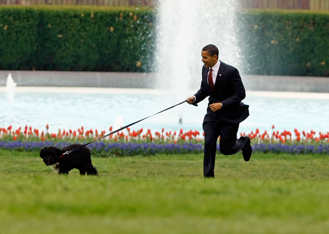 A majority of U.S. presidents have been dog owners